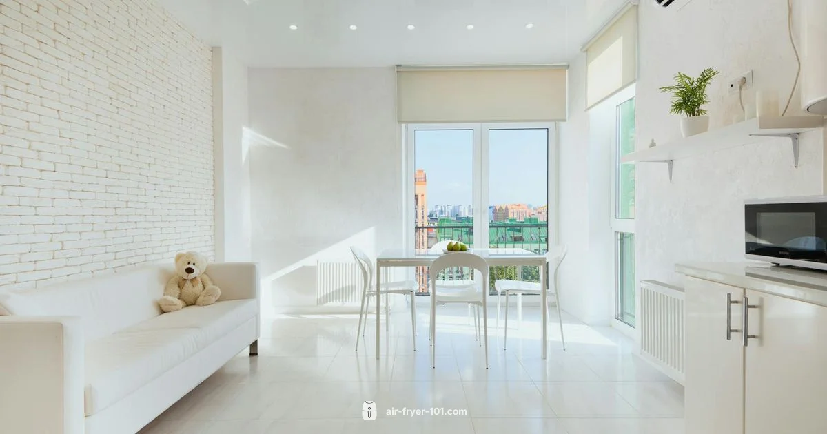 Inalsa Air Fryer Review - Air Fryer 101