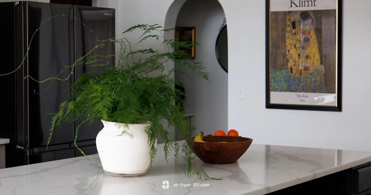 Air Fryer Essentials - Air Fryer 101