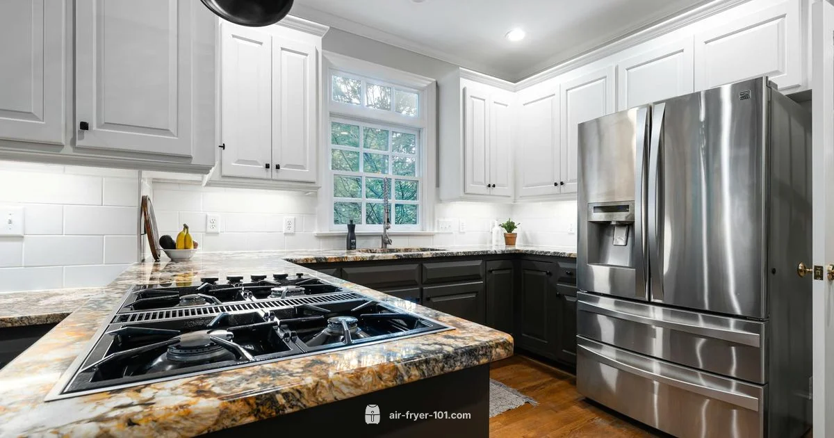 Prestige Air Fryer Review - Air Fryer 101