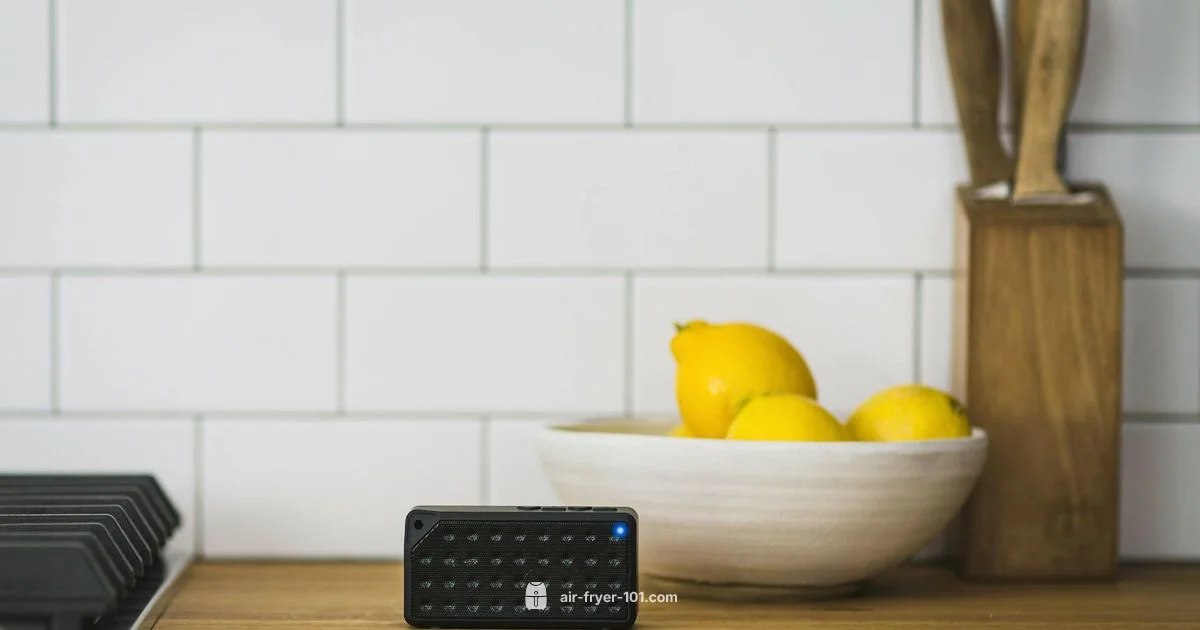 2L Size Guide - Air Fryer 101