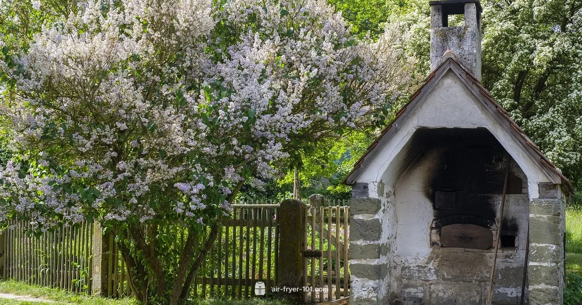 Clean Air Fryer Oven - Air Fryer 101