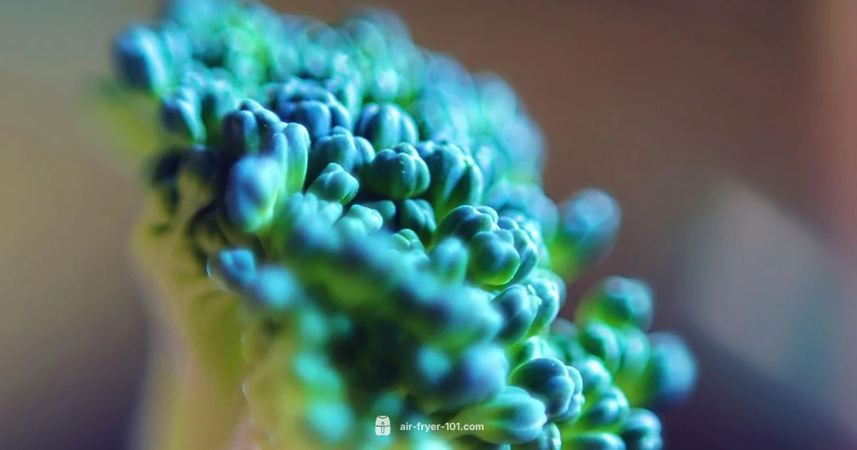 Crisp Air Fryer Broccoli - Air Fryer 101