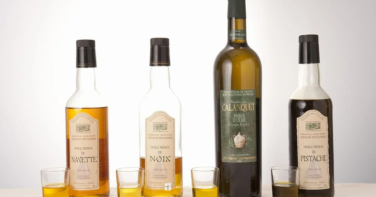 Oil Free Air Fryer - Air Fryer 101