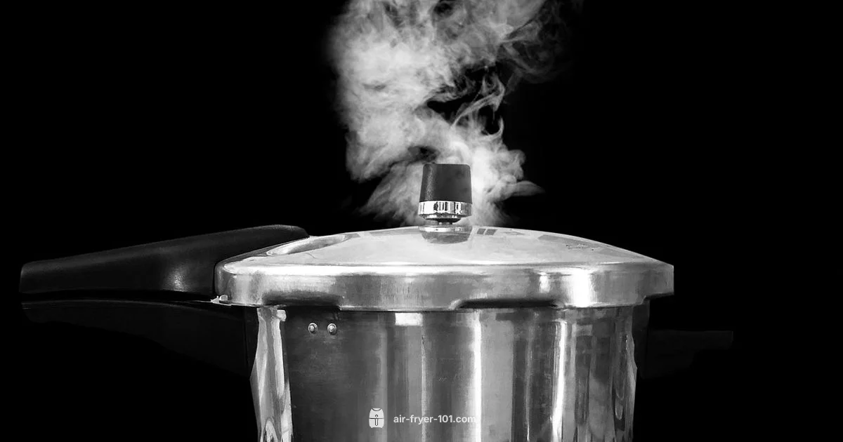 Air Fryer vs Instant Pot - Air Fryer 101