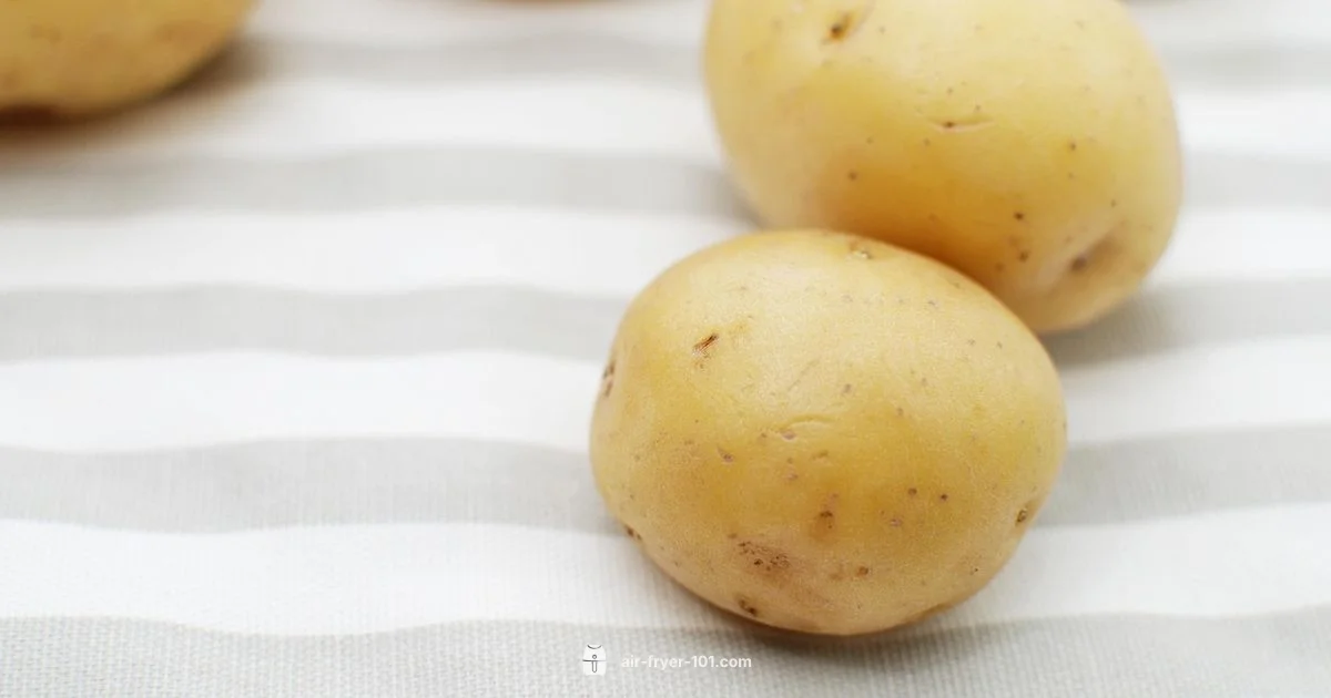 Crispy Air Fryer Chips - Air Fryer 101