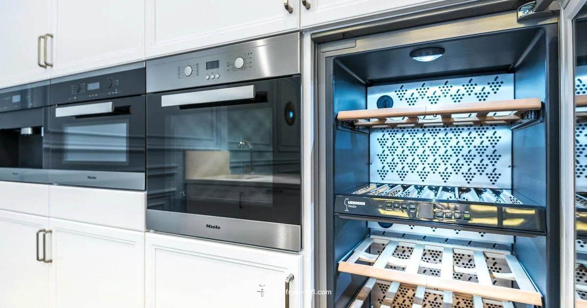 Breville Joule Pro Review - Air Fryer 101