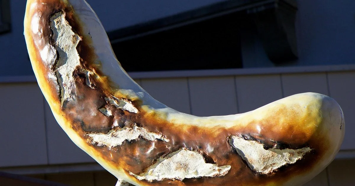 Air Fryer Brats - Air Fryer 101