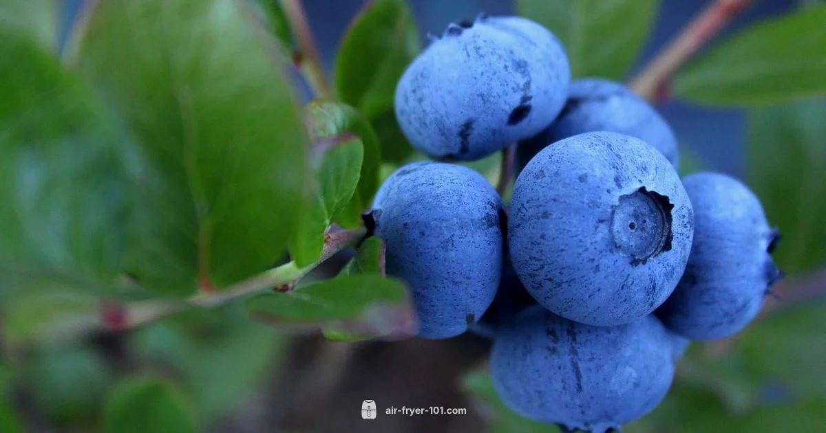 Air Fryer Greens Guide - Air Fryer 101