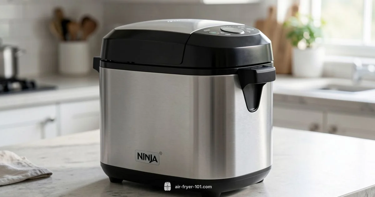 Ninja Fryer Buying Guide - Air Fryer 101