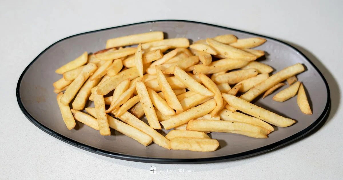 Crispy Air Fryer Fries - Air Fryer 101