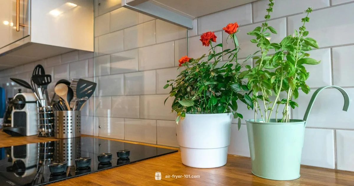 Accessory Essentials - Air Fryer 101