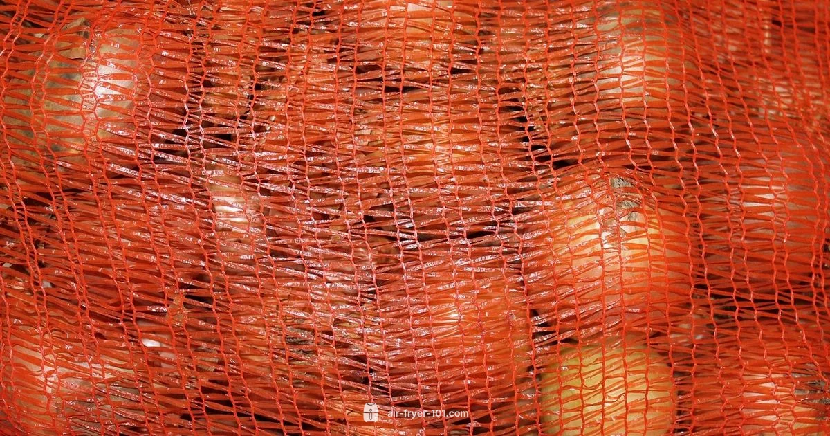 Air Fry Bloom - Air Fryer 101