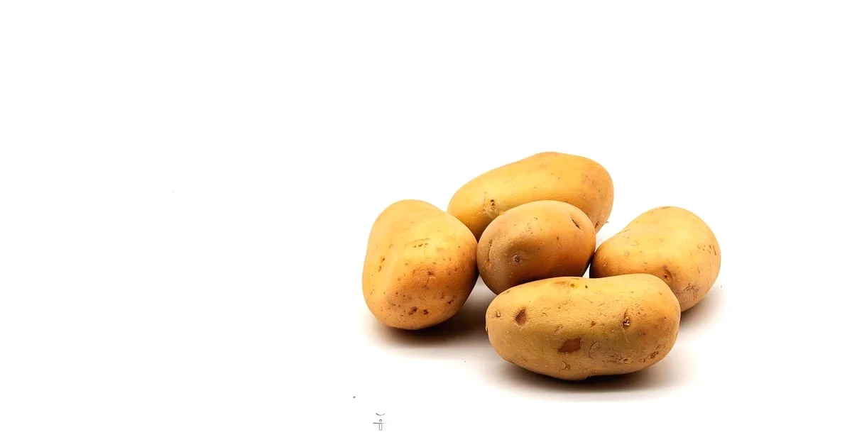 Crispy Fries Reheat - Air Fryer 101