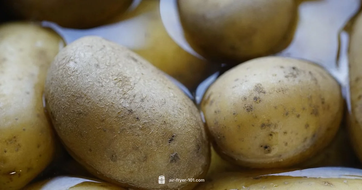 Crispy Air Fryer Potatoes - Air Fryer 101
