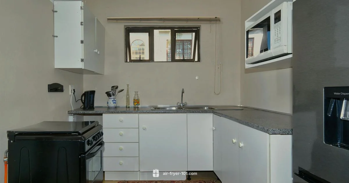 Right-Size Air Fryer - Air Fryer 101