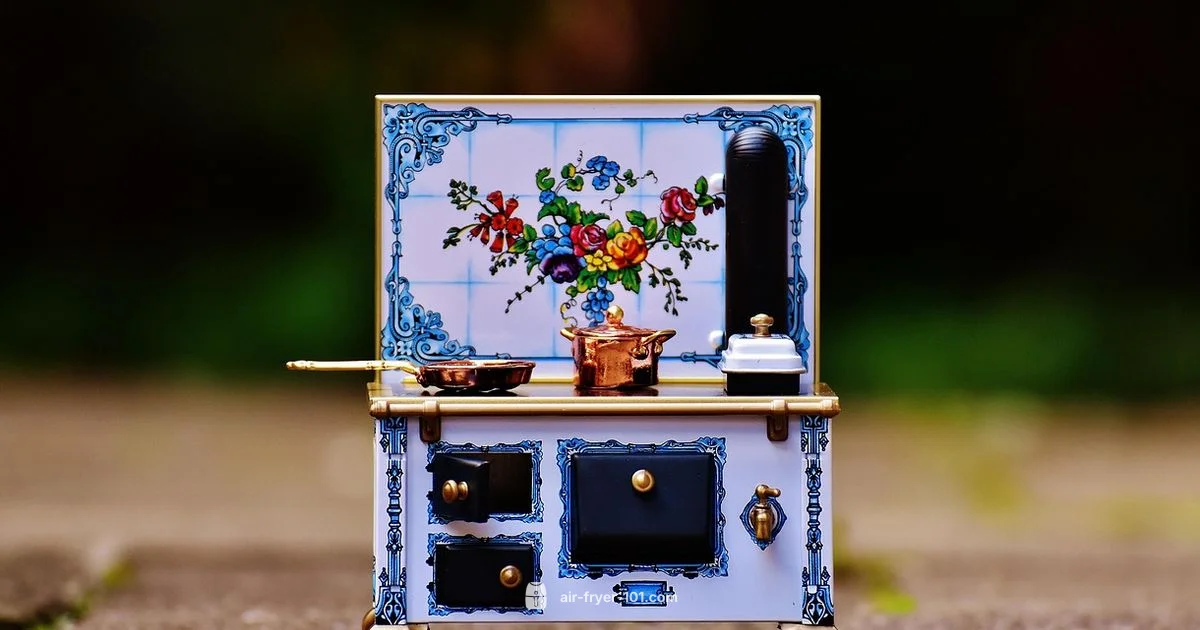 Top Air Fryer Ovens - Air Fryer 101
