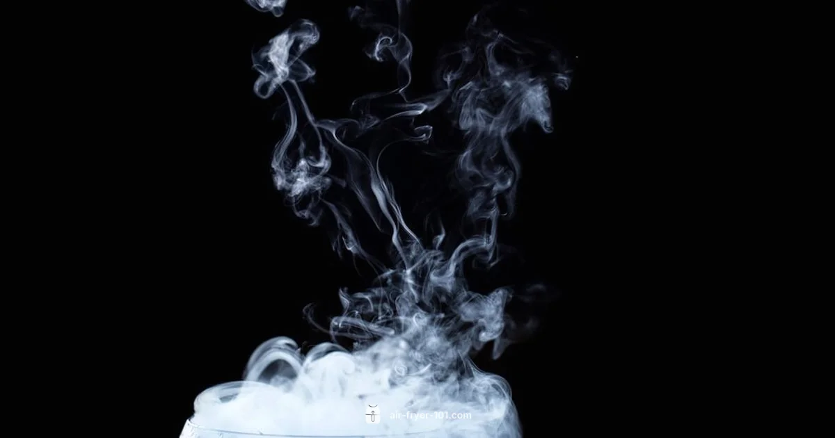 Smoke Fix Guide - Air Fryer 101