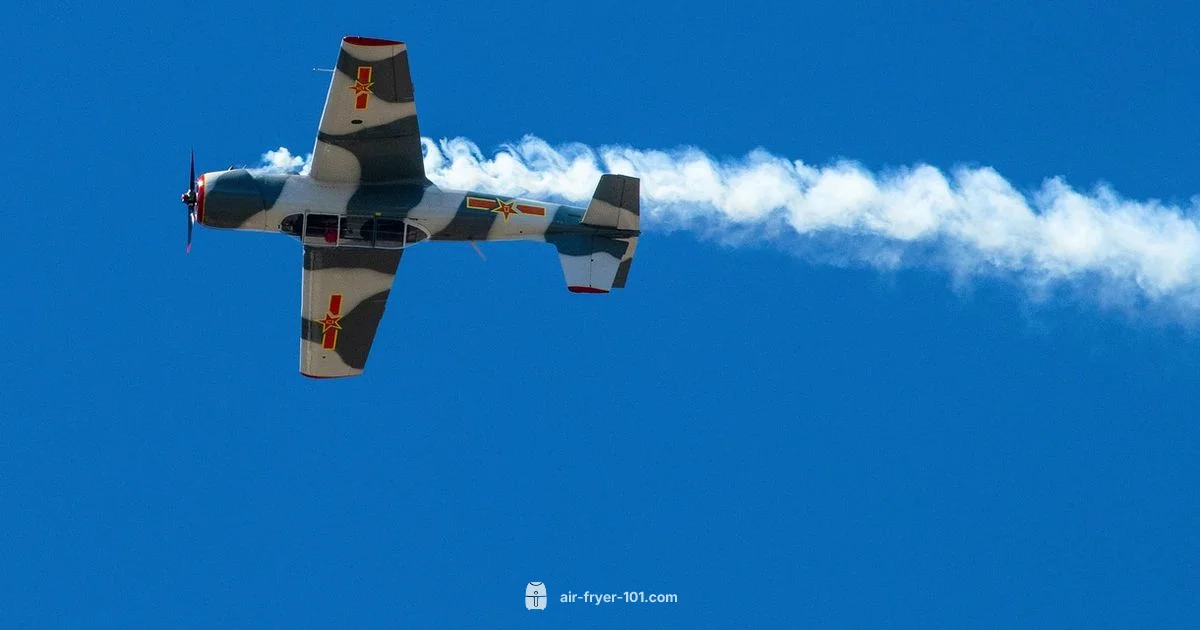 Smoke Fix Guide - Air Fryer 101