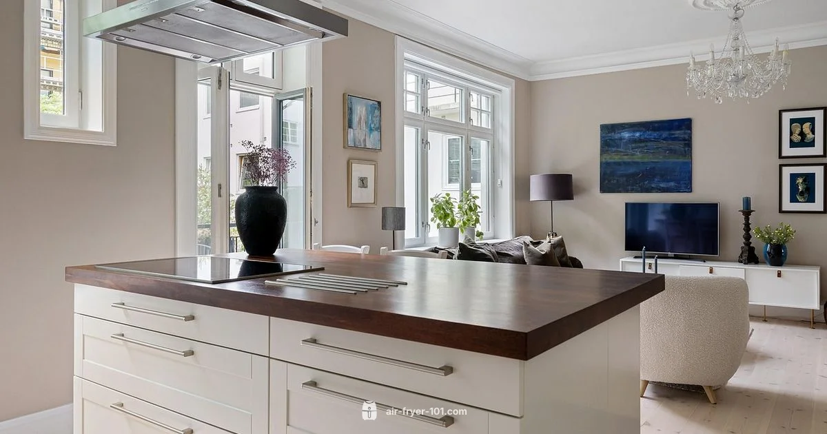 ATK Air Fryer Review - Air Fryer 101