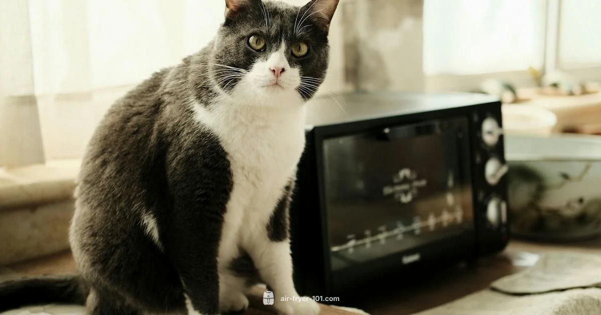 Juicy Air Fryer Chicken - Air Fryer 101