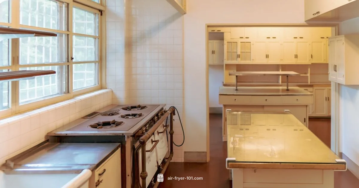 Best Non-Toxic Air Fryer - Air Fryer 101