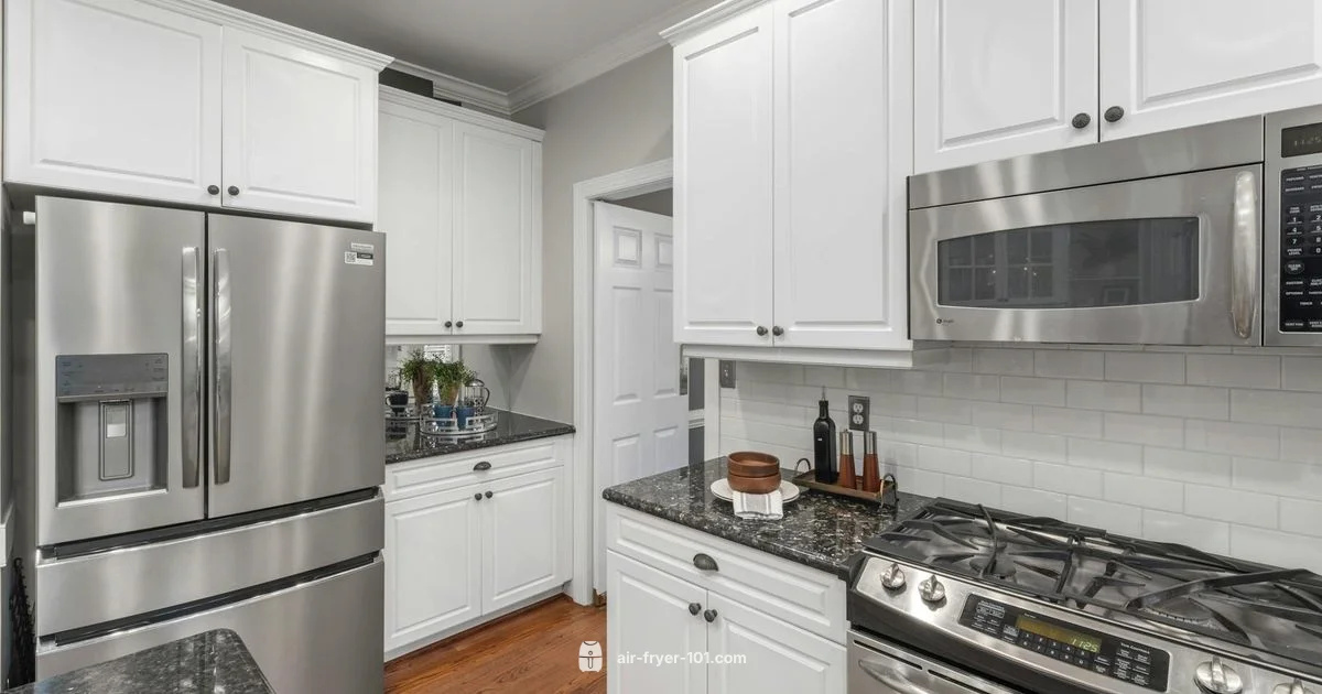 Air Fryer Review - Air Fryer 101