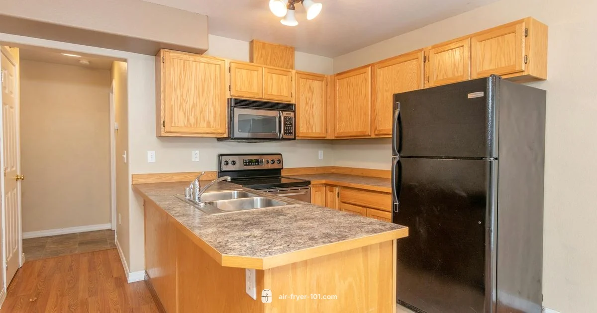 Dual Zone Review - Air Fryer 101