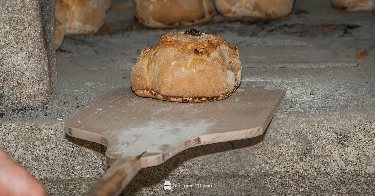 Air Fryer vs Oven - Air Fryer 101