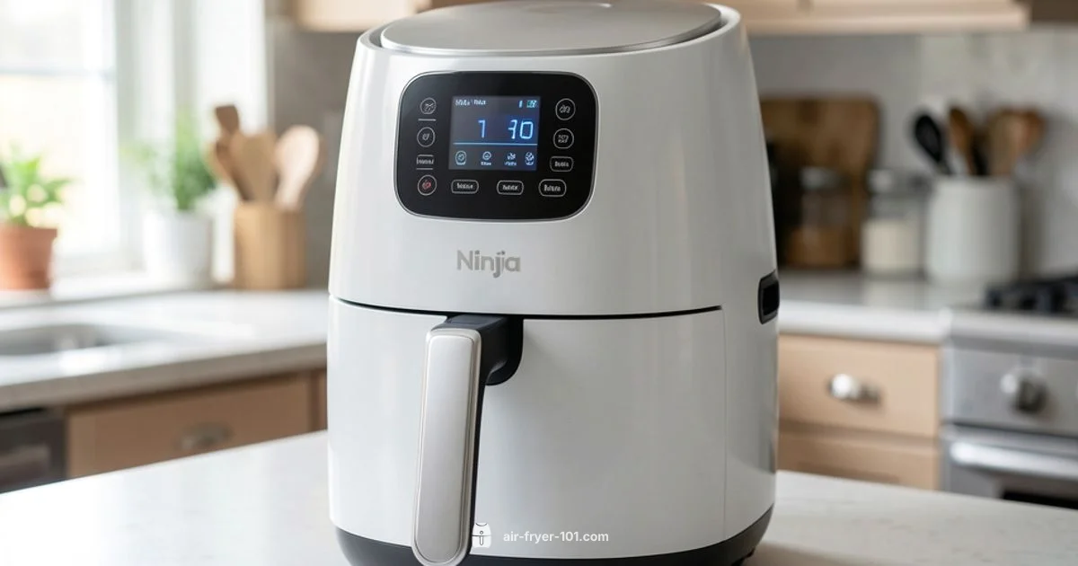 Max XL in Action - Air Fryer 101