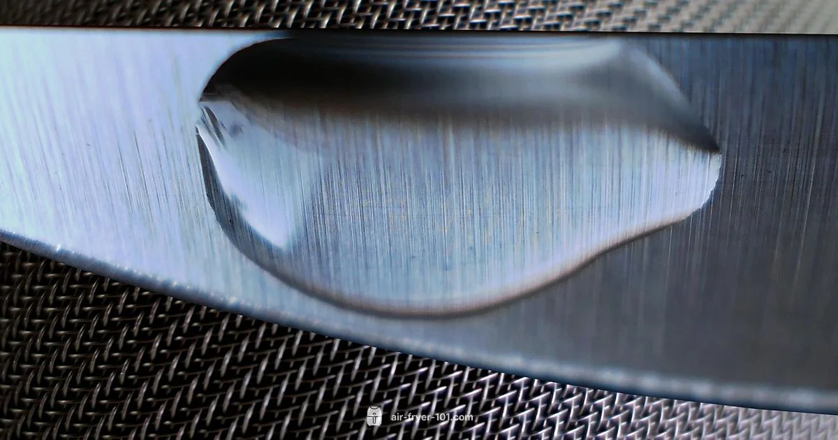 Air Fryer Basics - Air Fryer 101