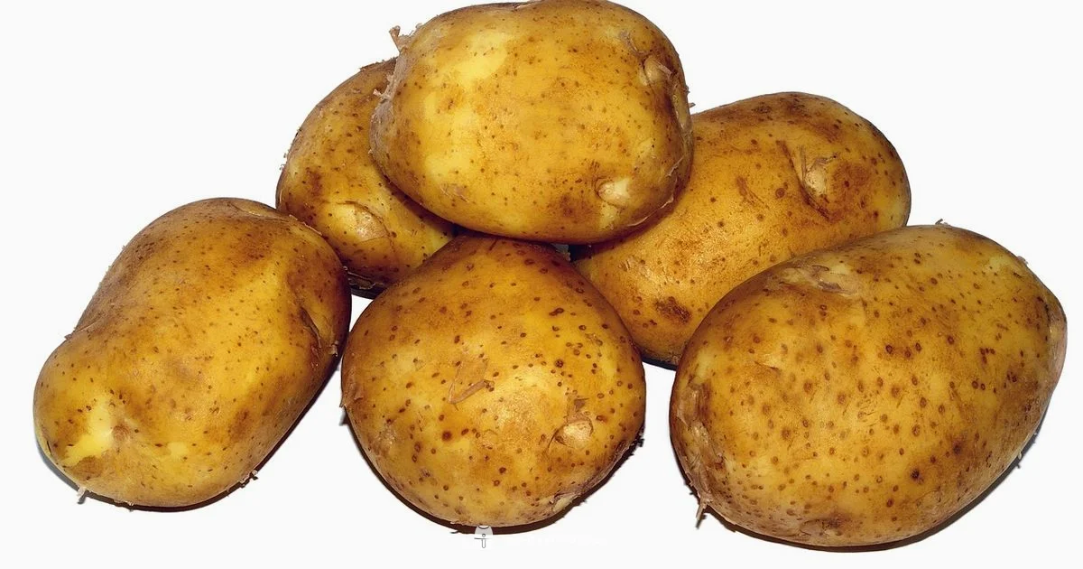 Crispy Air Fryer Potatoes - Air Fryer 101