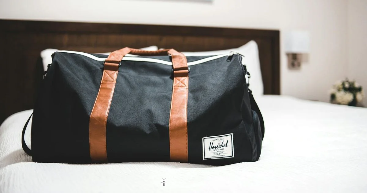 Travel-Smart Fryer - Air Fryer 101