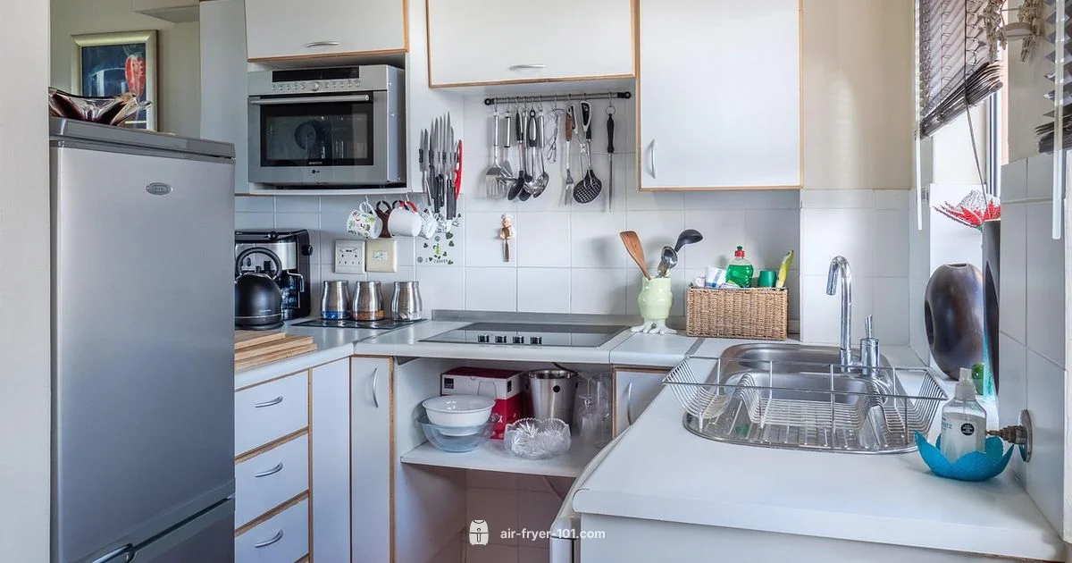 Air Fryer Microwave Duo - Air Fryer 101