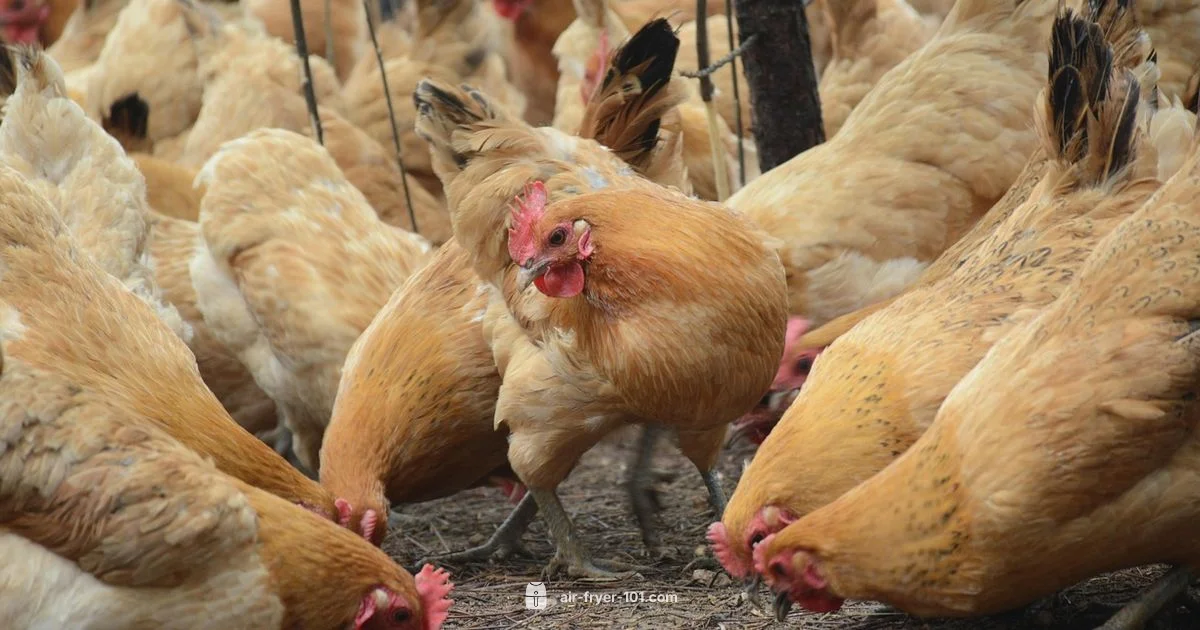 Crispy Chicken - Air Fryer 101
